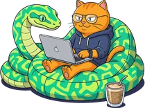 Python developer